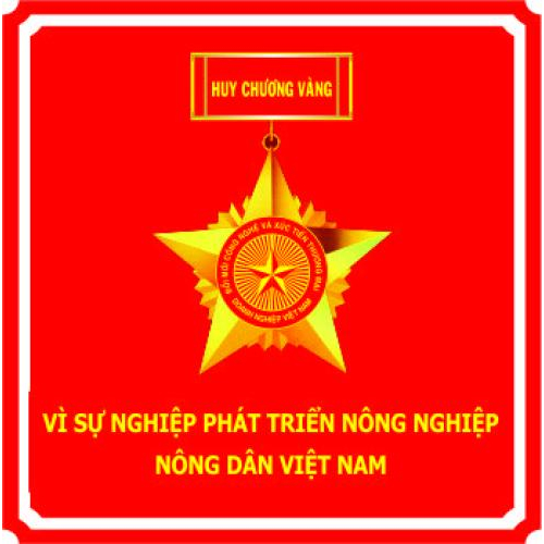 V. Thành tựu của công ty